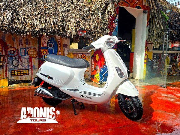Scooters et motos
